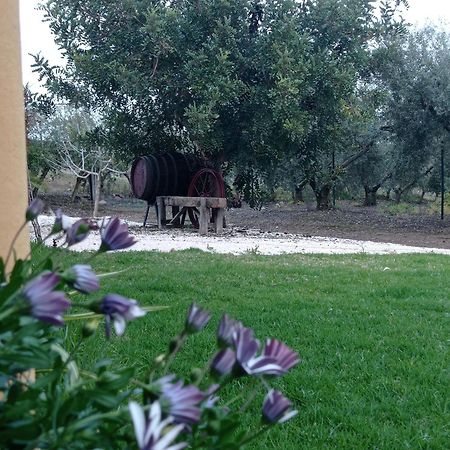 La Buganvilla, Descanso Entre Olivares Hornachuelos Dış mekan fotoğraf