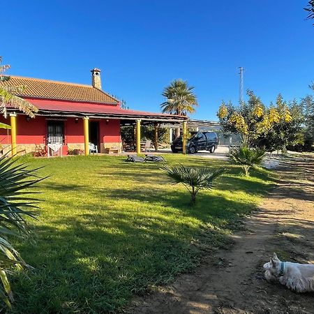 La Buganvilla, Descanso Entre Olivares Hornachuelos Dış mekan fotoğraf