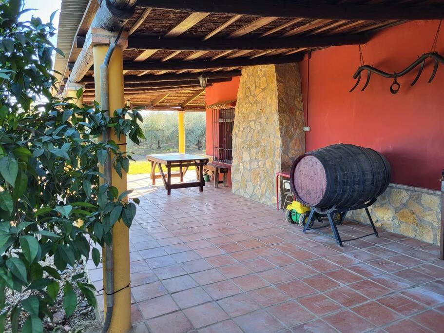 La Buganvilla, Descanso Entre Olivares Hornachuelos Dış mekan fotoğraf