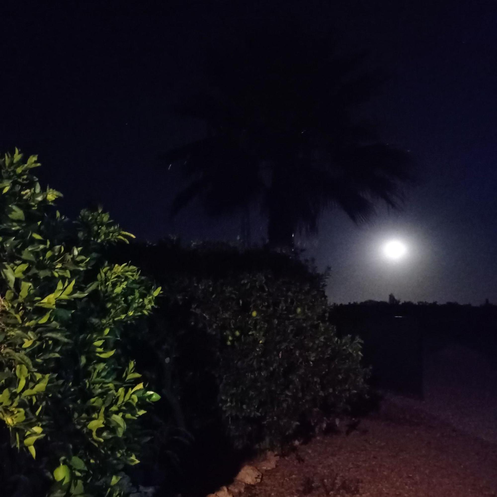 La Buganvilla, Descanso Entre Olivares Hornachuelos Dış mekan fotoğraf