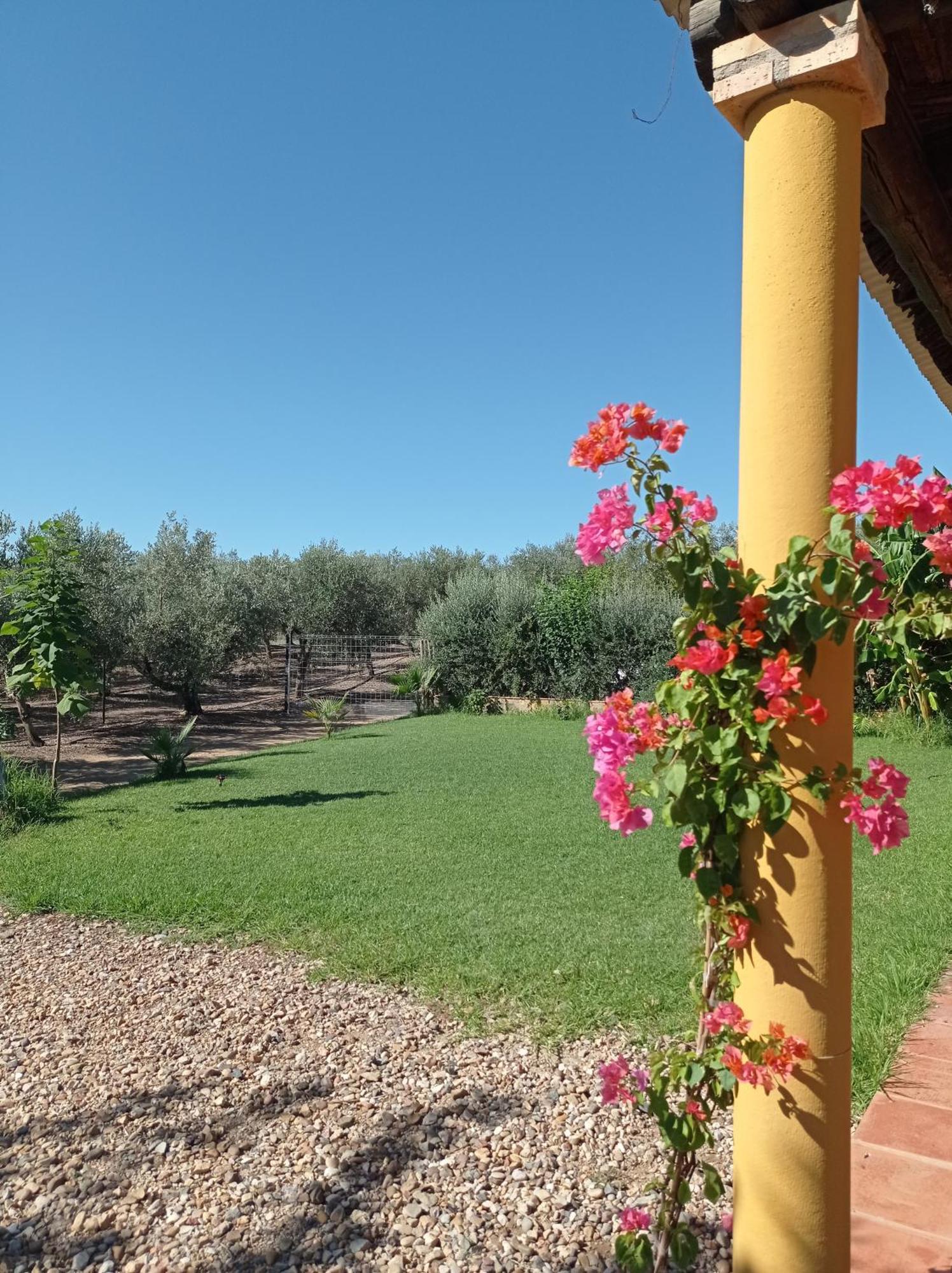La Buganvilla, Descanso Entre Olivares Hornachuelos Dış mekan fotoğraf