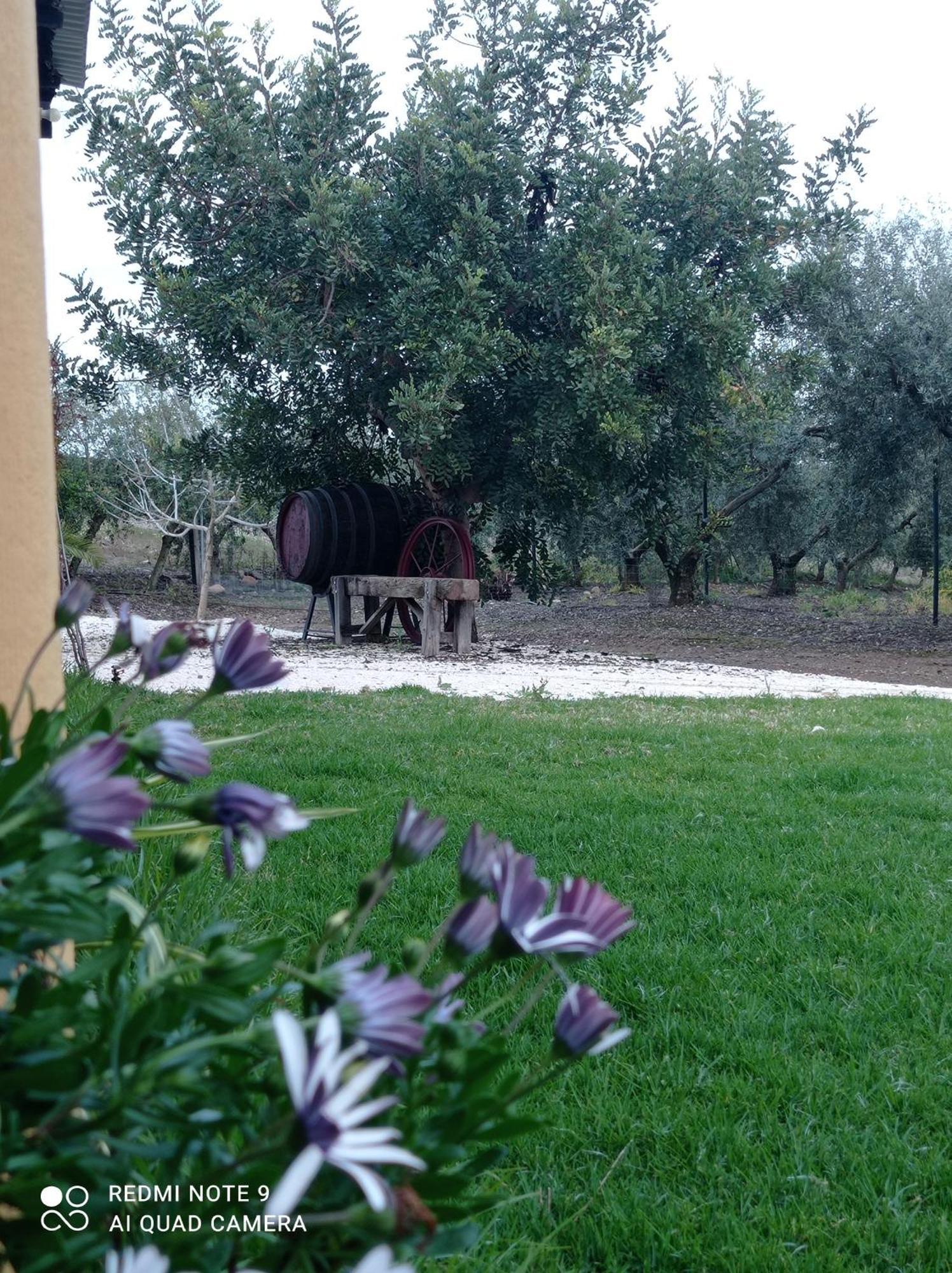 La Buganvilla, Descanso Entre Olivares Hornachuelos Dış mekan fotoğraf